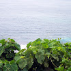 20060819_22_kenting_047.jpg