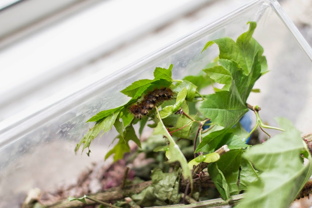 [IMG_8800%255B4%255D.jpg]