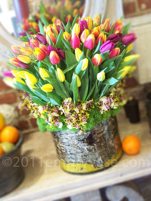 [50-multi-colored-tulips-intricate-ti%255B1%255D.jpg]