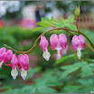 DSC_0587.jpg
