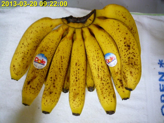 P1010298