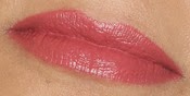 swatcheslabialwetnwild904rosebud swatcheslabialwetnwild904rosebud