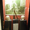 K800_IMGP1671.JPG