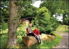 Explore the Stunning Surrounding Countryside