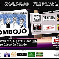  FLYERS_2011