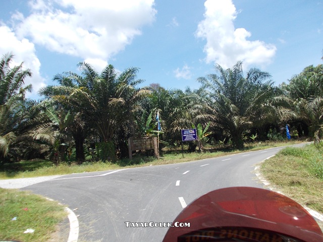 [DSCN1100%255B1%255D.jpg]
