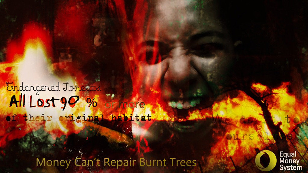 [Burning-Trees-copy4.jpg]