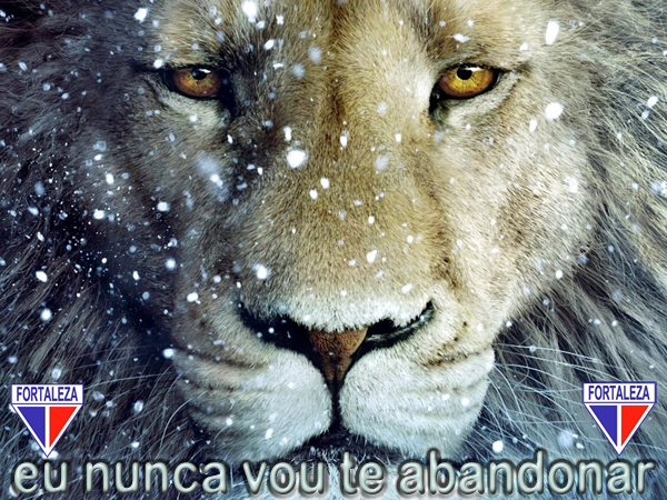 Lion (1a) Lion (1a)