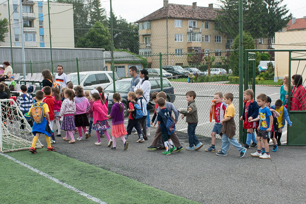 ovifoci-4.JPG