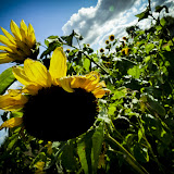 Afdelingstur2010 (40 of 167).jpg