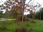 Casa de Campo – 02-nov-2008 Casa de Campo – 02-nov-2008