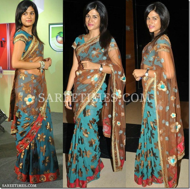 Shraddha_Das_Shimmer_Saree