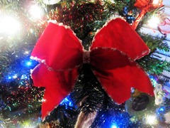 IMG_0242_2 IMG_0242_2