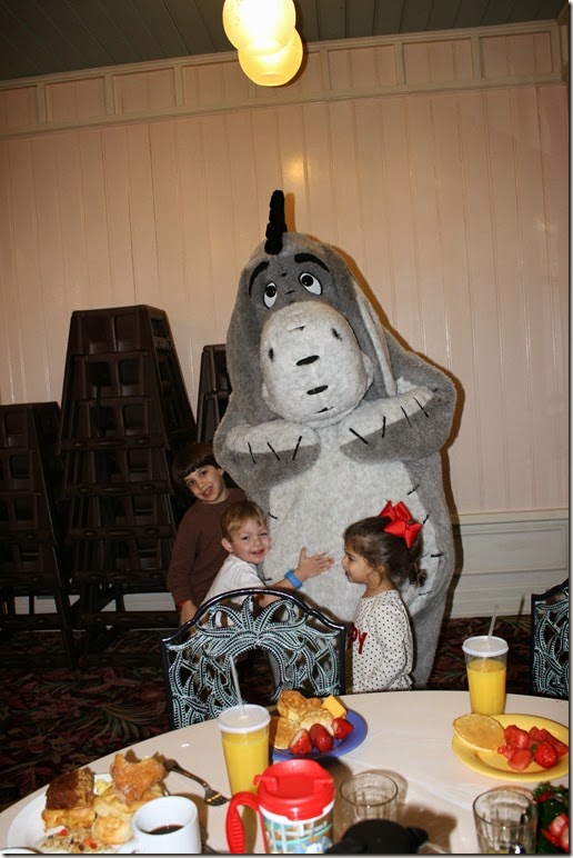 IMG_1659 IMG_1659