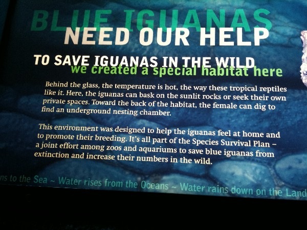 [shedd%2520aquarium%2520three%255B3%255D.jpg]