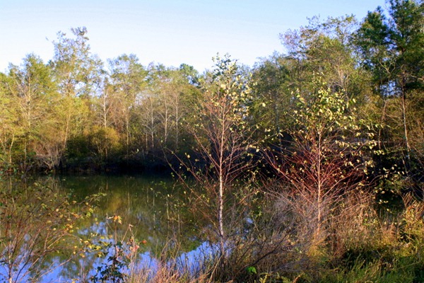 Pumpkin Spice Lattes, Friends, and Walking Trails 084