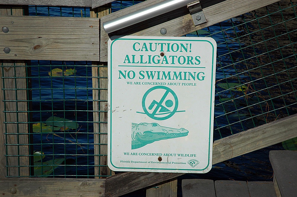 [Lake-Louisa-No-Swimming2.jpg]