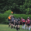 DSC_0005-20110605.JPG