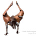 Object: 14759 - Twee Kraanvogels - 43 cm - € 3300,= Object: 14759 - Twee Kraanvogels - 43 cm - € 3300,=