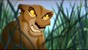 11 Zira 11 Zira