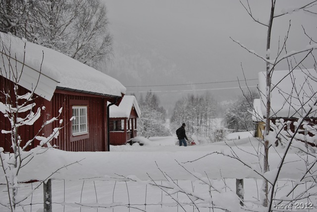 [Winterdag%2520010%255B2%255D.jpg]