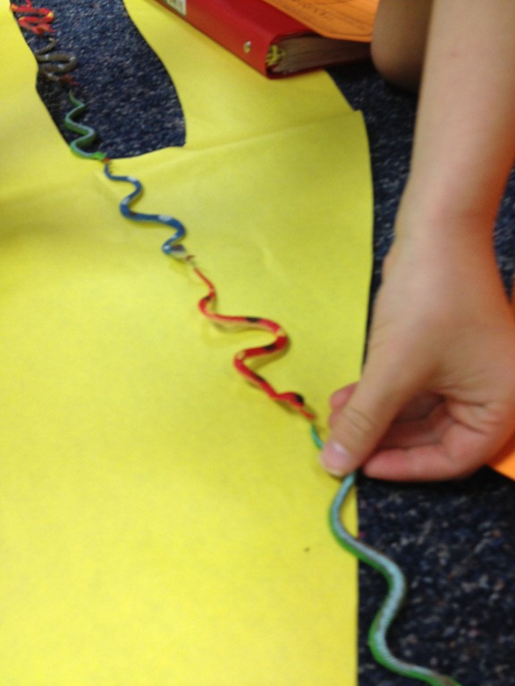 [zoo6-1%255B5%255D.jpg]