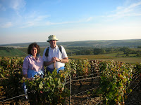 The Vineyards