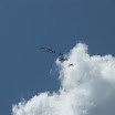 DSCF2844.JPG