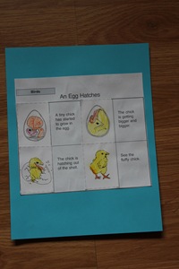 IMG_3851 IMG_3851