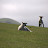 2010 Nueva Zelanda 2010 Nueva Zelanda