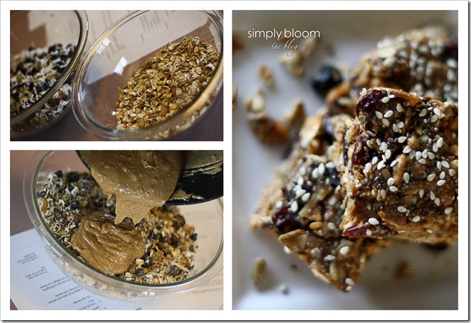 Chewy Fruit & Nut Bars