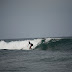_MG_8366.JPG