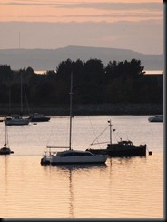 estuary 017