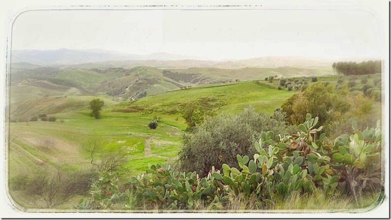 IMG_6430 IMG_6430