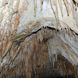 DSC_7139.JPG