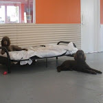 DSCN2520.jpg