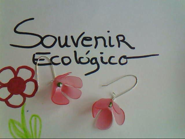 [souvenir_ecologico%2520%252818%2529%255B2%255D.jpg]