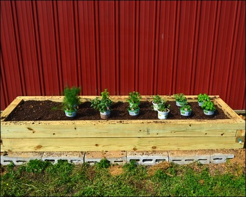 ready to plant herb garden