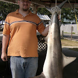 Nice Shark - Caught by owner, David McFarlin - Orange Beach, AL