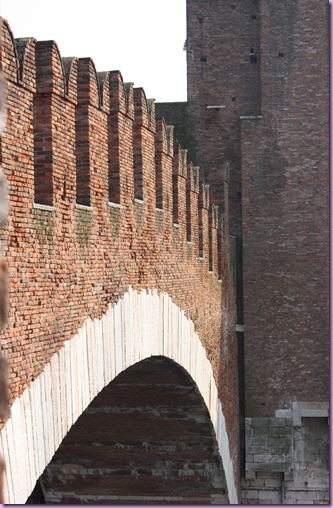 IMG_8817 IMG_8817