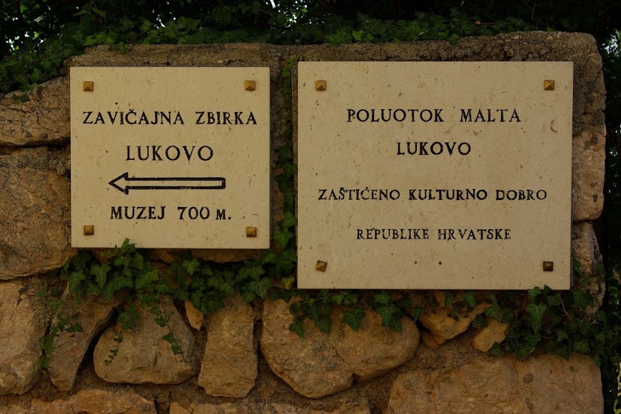 IMGP8710.JPG