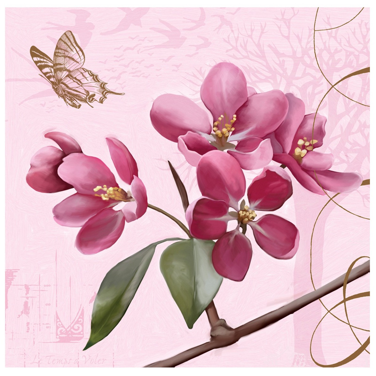 [Cherry%2520Blossom%2520with%2520Butterfly%255B289%255D.jpg]