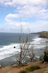 DSC_5248.JPG