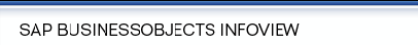 banner_INFOVIEW - Copy