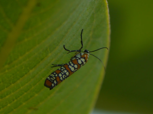 P1090330