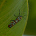P1090330