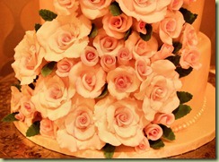 cohenroses cohenroses