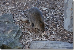 Taronga Zoo