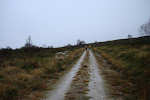 DSC04468.JPG