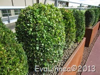 IMG_8029 IMG_8029